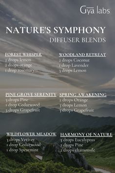 Immerse yourself in Nature's Symphony with our diffuser blends. 🌿✨ Experience the harmonious blend of earthy and floral scents, bringing the tranquility of the great outdoors into your home. Perfect for unwinding and finding your zen. 🧘‍♀️🍃  #GyaLabs #UpliftYourEveryday #essentialoils #summerseason #amazing #soulwisdom #Julyvibes #summer  #summervibes #abundance #abundancemindset #miracles #blessings #inspiration #NaturalCare #HealthyLiving #EssentialOils #woman Diy Essential Oil Blends, Floral Scents, Essential Oil Mixes