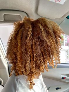 Blonde Highlights Curly Hair, Long Shiny Hair, Honey Brown Hair, Dyed Hair Inspiration, Dyed Natural Hair, Curly Hair Styles Easy