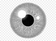 an eyeball is shown in black and white, with the iris looking like it has two