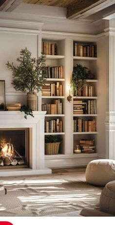 a living room filled with furniture and a fire place in front of a book shelf