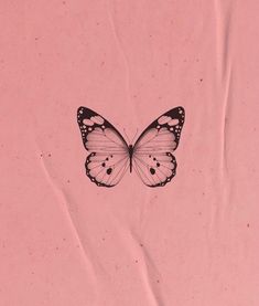 a black and white butterfly on pink paper