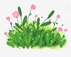 some pink flowers and green grass on a white background, illustration, drawing, cartoon png and psd