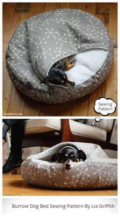 a dog laying on top of a bed in the middle of a floor next to another photo