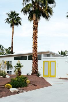 a house with palm trees in front of it and a yellow door on the side