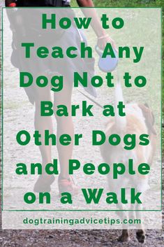 a man walking his dog with the words how to teach any dog not to bark at other dogs and people on a walk