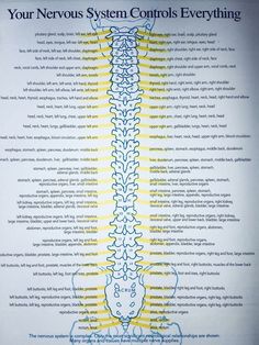 Yoga For Spine Health, January Snacks, Cranial Sacral Therapy, Brain And Spine, Nervus Vagus, Craniosacral Therapy, Spine Health, Medical School Studying, Medical School Essentials