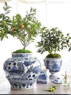 two blue and white vases with plants in them on a table next to each other