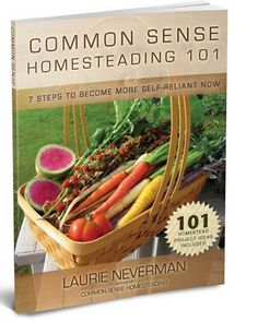 the book cover for common sense homesteading 101, with an image of a basket full