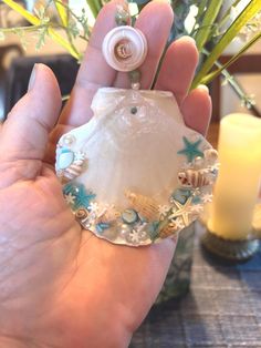 a hand holding a glass vase with flowers in it and seashells on the inside