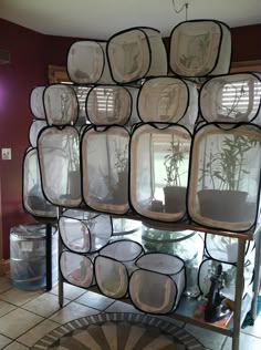 a display case filled with lots of glass plates and plants on top of a tiled floor