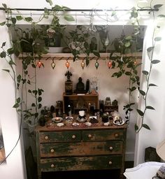 an old dresser is covered with plants and other things on display in a room that looks like it has been decorated for christmas