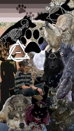 collage of wolf images with people and animals