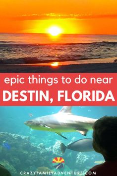 the ocean with text overlay that reads epic things to do near destin, florida