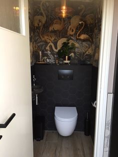 a white toilet sitting inside of a bathroom next to a wall with birds on it