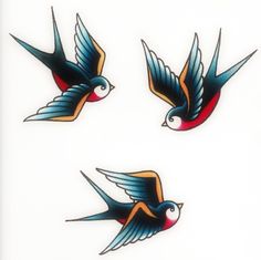 three birds with different colored wings flying in the air and one bird has red, blue, and yellow feathers