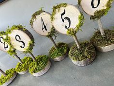 the numbers are made out of wood and moss