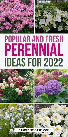 different types of flowers with the words popular and fresh perennial ideas for 2012 on them