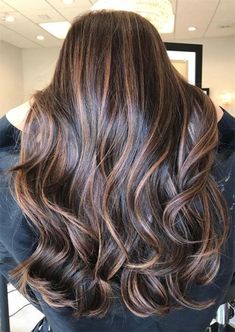 Hilights For Brunettes, Hair Color Brown Chestnut, Hair Colors To Try, Chestnut Brown Hair, Chestnut Hair Color, Fall Hair Color Trends, Caramel Highlights, Brunette Balayage Hair