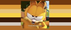 an animated cat with the caption i know where you live