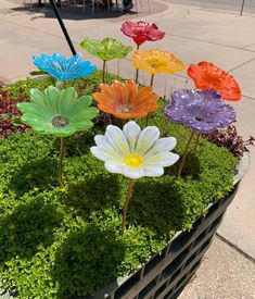 there are many colorful flowers in the planter