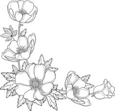 a line drawing of flowers on a white background