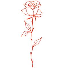 a single rose is drawn in red ink on a white background, it looks like the outline of a flower