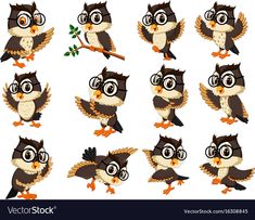 an owl with many different poses and expressions