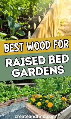 Best wood for raised bed gardens. Raised Bed Gardens, Raised Bed Gardening, Plants That Attract Butterflies, Gardening Tips For Beginners, Raised Bed Garden, Garden Labels, Garden Tool Set, Garden In The Woods