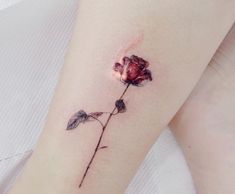 a small rose tattoo on the ankle with watercolors and ink by an artist