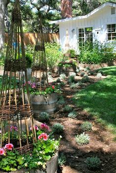 a garden filled with lots of different types of flowers