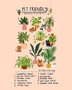 a poster with potted plants in different sizes and colors, including houseplants