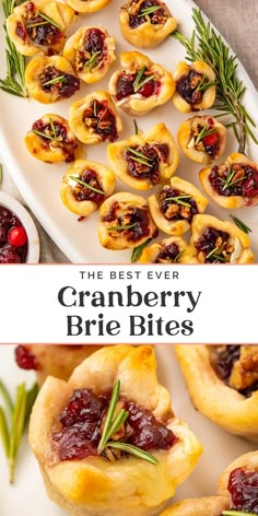 cranberry brie bites on a white plate with rosemary garnishes