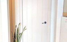 a white door in a room with a potted plant on the floor next to it