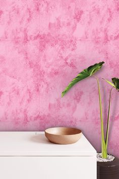 a pink wall with two potted plants in it and a bowl on the table