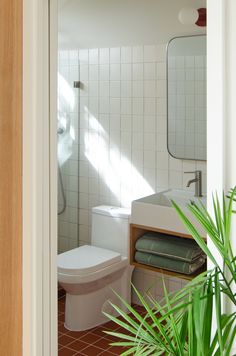 a white toilet sitting next to a green plant in a bathroom under a mirror on the wall