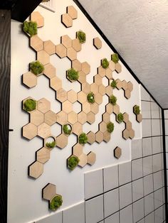 the wall is made up of wooden hexagonals with moss growing on them