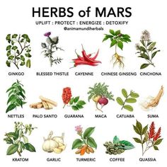 the herbs of mars are shown in this poster, with their names and pictures