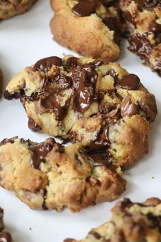 chocolate chip cookies are arranged on a white surface