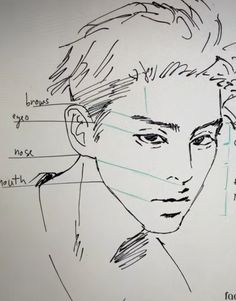 a drawing of a young man's face with the names of his parts