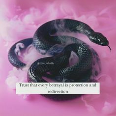 a black and white snake sitting on top of a pink background with the caption trust that every bereaval is protection and redirection