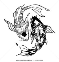 two koi fish swimming in the water, one is black and white stock photo