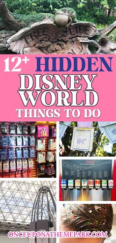 the top ten things to do in hidden disney world, including pictures and information about them