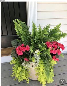 a potted plant with red and green flowers in front of a white house door