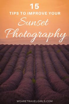 lavender field with the words 15 tips to improve your sunset photography