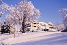 a large white house surrounded by snow covered trees