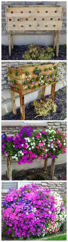 four different types of flowers in wooden planters