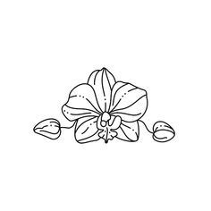 a flower that is blooming on the ground with leaves and buds in it royalty illustration