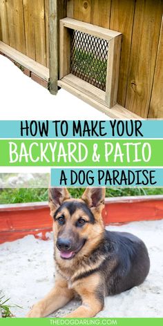 how to make your backyard and patio a dog paradise - thedogparking com