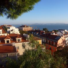 a view of some buildings and the ocean in the distance with trees on either side