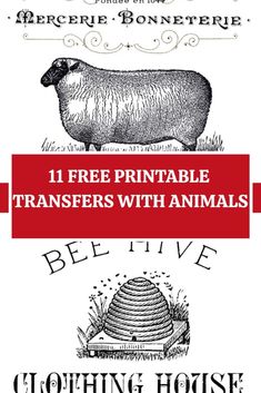 an advertisement for the free printable transfer with animals